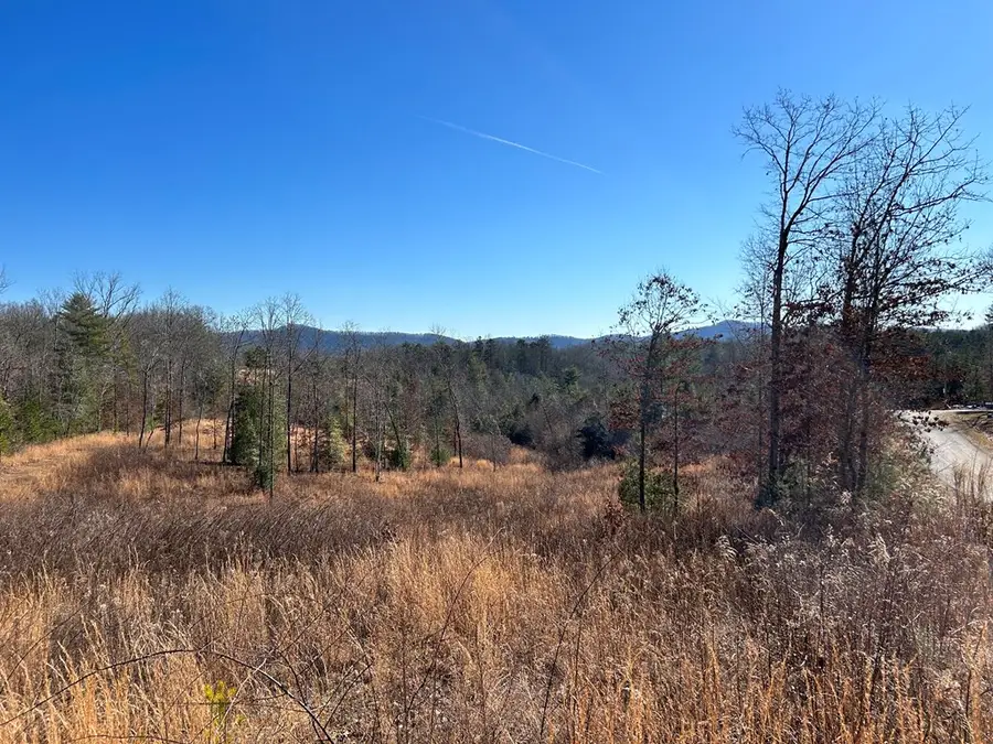 426 Gardenwood Lane, Murphy, NC 28906 - #2