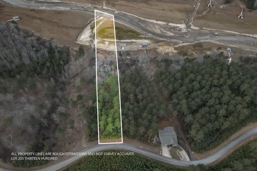 Lot 205 The Cove @ 1300, Blairsville, GA 30512 - #2