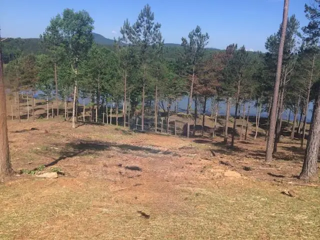 Lot 205 The Cove @ 1300, Blairsville, GA 30512 - #3