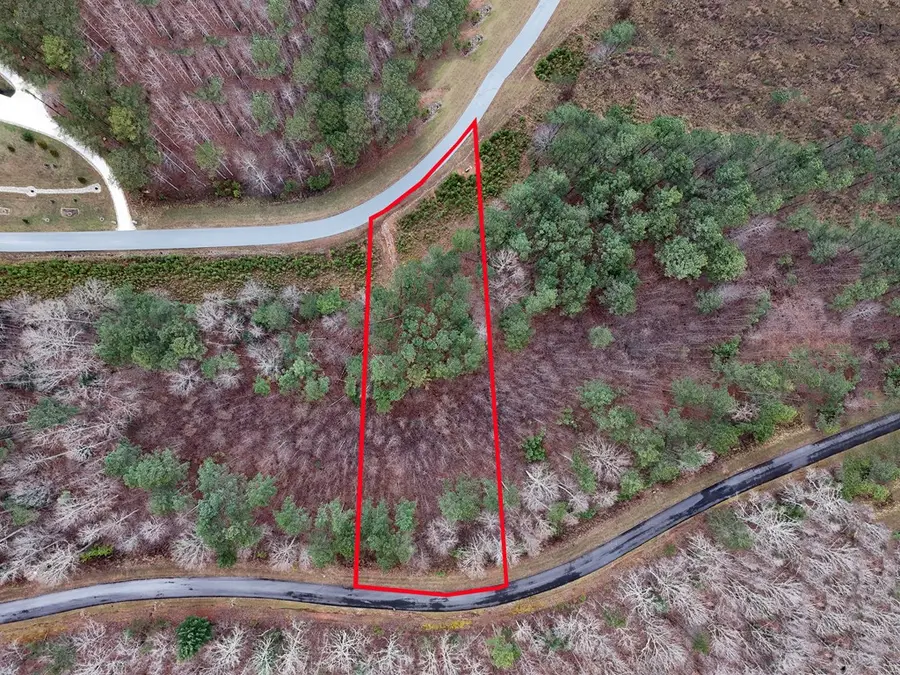Lot 59 Ridge Peak View, Blairsville, GA 30512 - #3