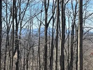 n/a Turkey Ridge, Morganton, GA 30560 - Image #2