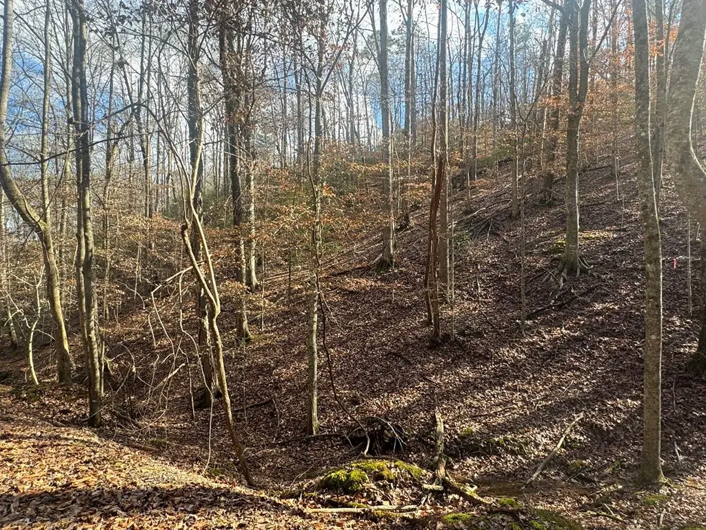 Lot 2749 Nimrod Court, Ellijay, GA 30540 - Image #1