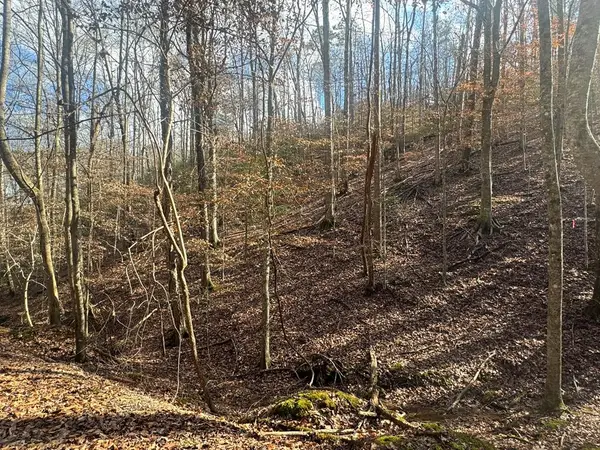 Lot 2749 Nimrod Court, Ellijay, GA 30540