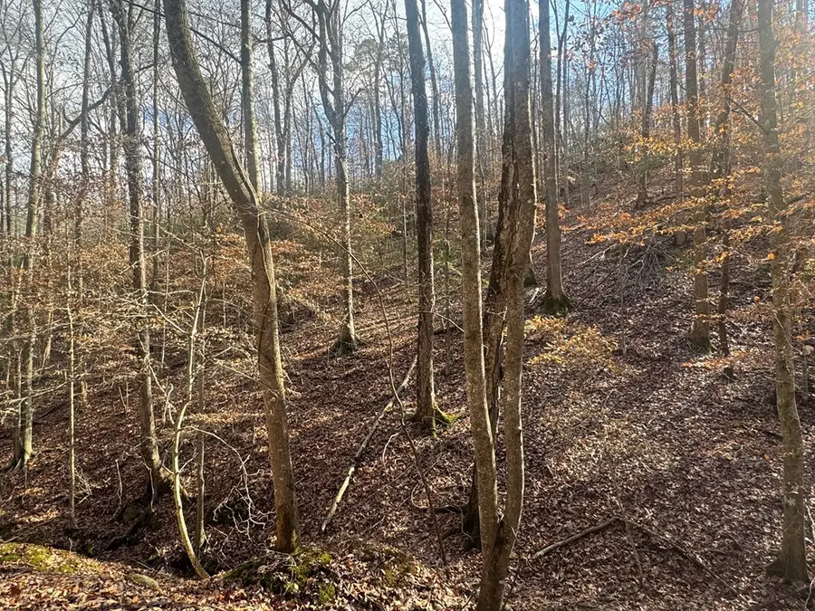 Lot 2749 Nimrod Court, Ellijay, GA 30540 - Image #2