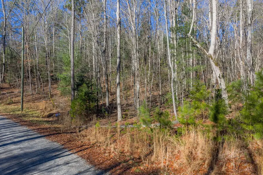Lot 117 Jumper Drive, Ellijay, GA 30540 - Image #3