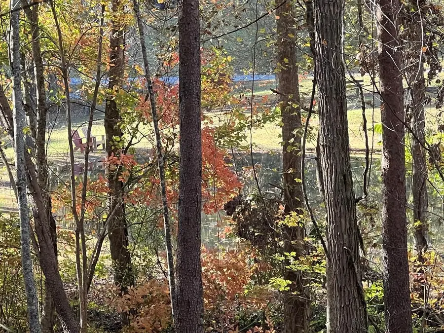 1 Bartin Ridge, Murphy, NC 28906 - Image #2