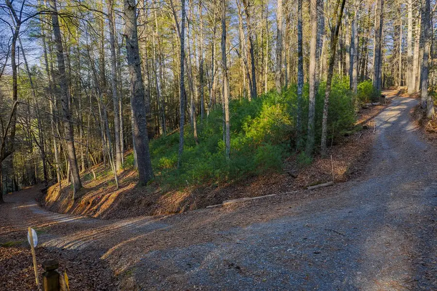 Lot 56 Riverbend Trail, Ellijay, GA 30540 - Image #3