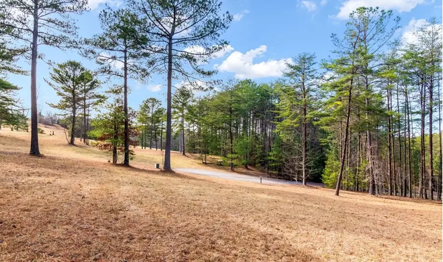 LOT 87 Creek Hollow Lane, Blairsville, GA 30512 - Image #2