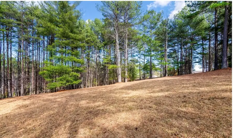 LOT 87 Creek Hollow Lane, Blairsville, GA 30512 - Image #3