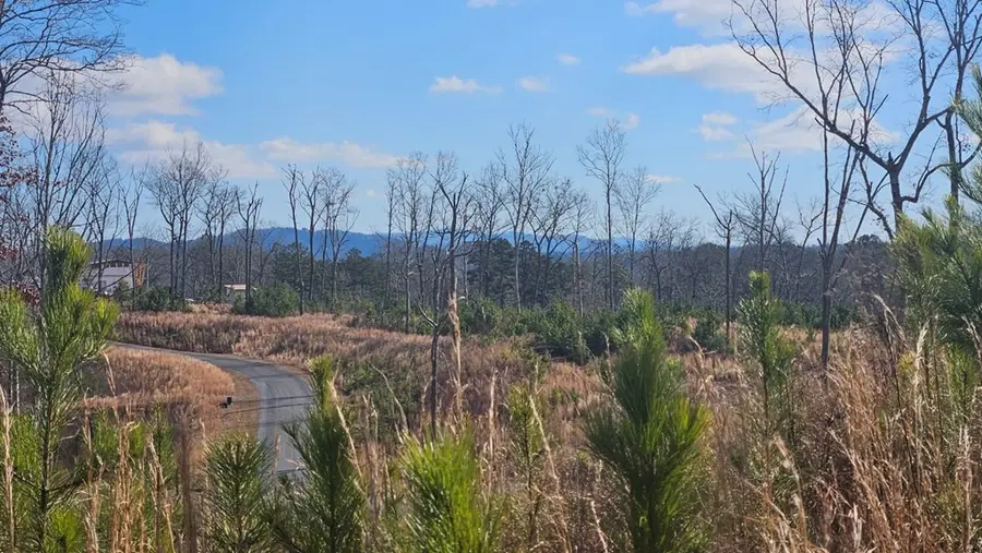 Lot 197 Oak Wood Lane, Ellijay, GA 30540 - Image #2