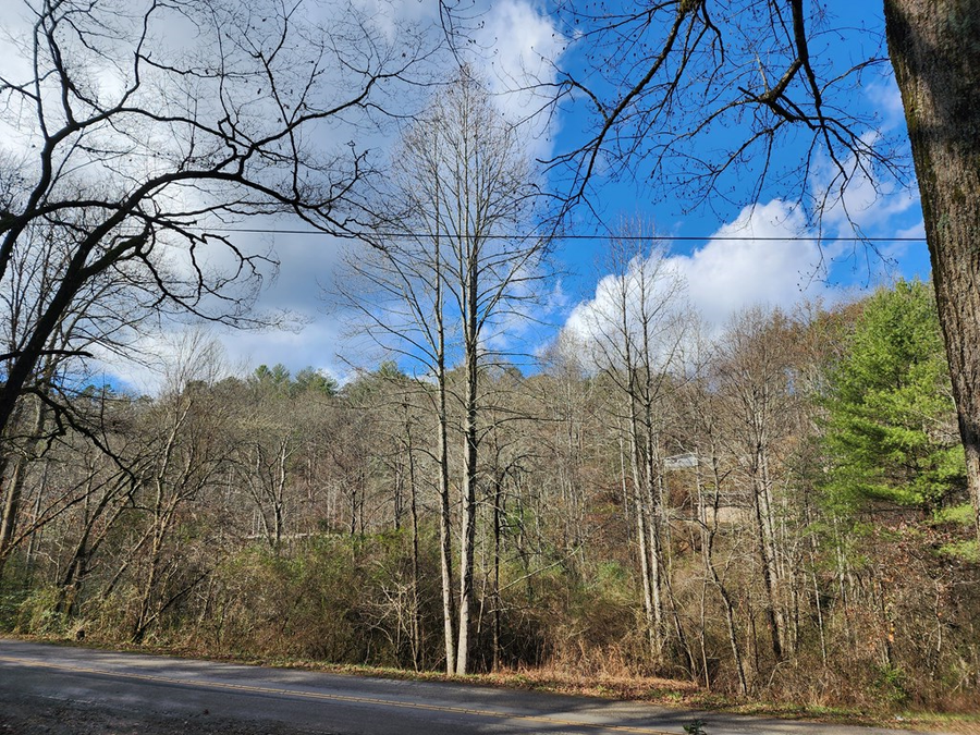 1134 Long Branch Road, Marble, NC 28905 - Image #3