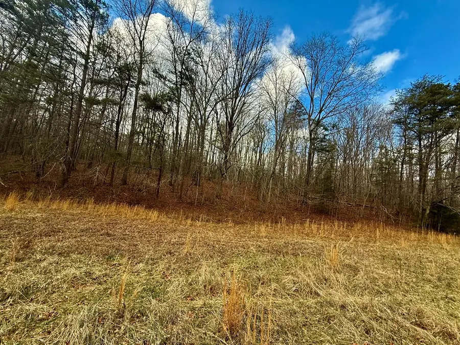 0 Cedar Springs Road, Turtletown, TN 37391 - Image #3