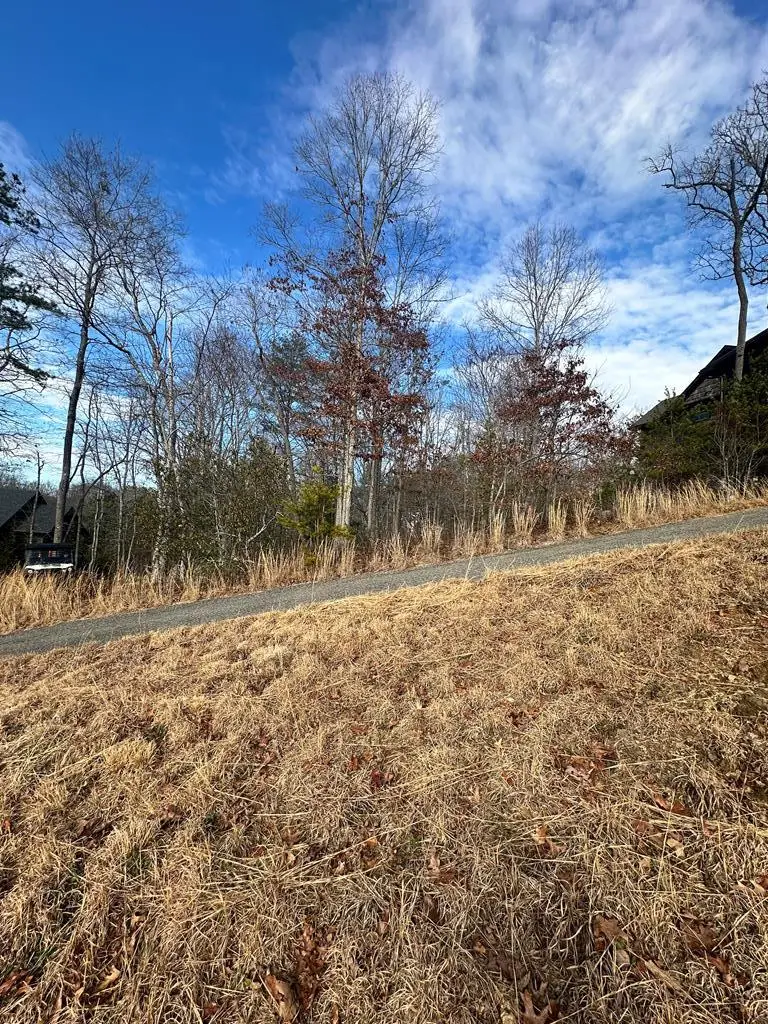 Lot 95 Fallen Leaf Road, Mineral Bluff, GA 30559 - Image #3