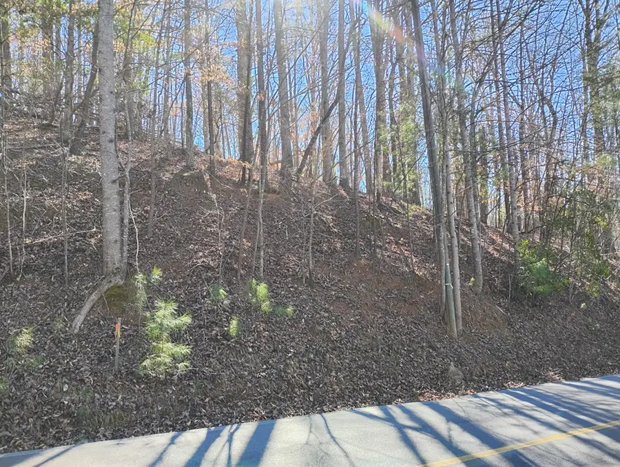 Lt 2090R Newport Drive, Ellijay, GA 30540 - Image #2