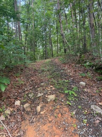 10.96 Ac Paramount Trail, Ellijay, GA 30536 - #1