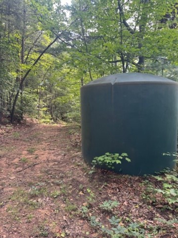 10.96 Ac Paramount Trail, Ellijay, GA 30536 - #2