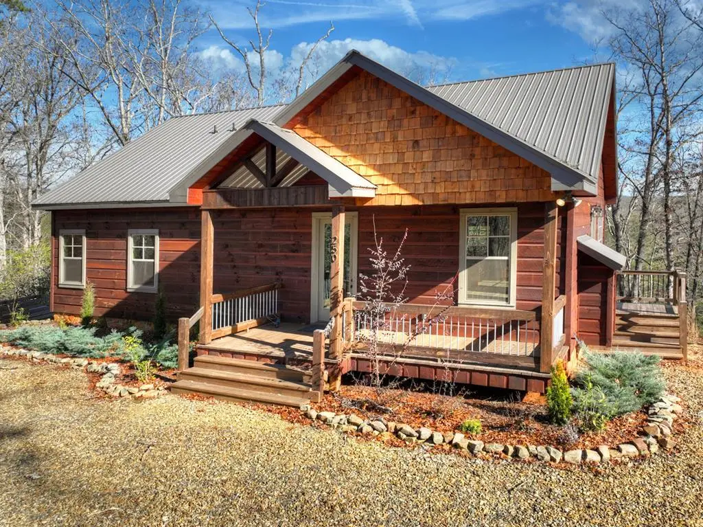 250 Wolf Creek Mountain Road, Mineral Bluff, GA 30559 - #1