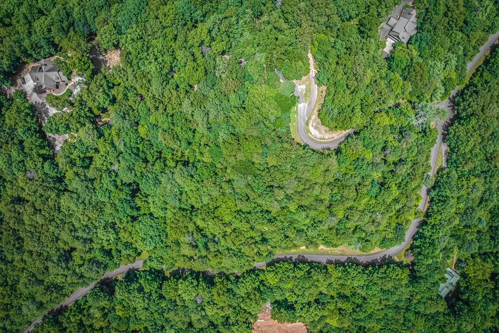 4.7AC Mountain Creek Hollow Drive, Talking Rock, GA 30175 - #1