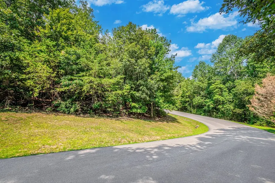 4.7AC Mountain Creek Hollow Drive, Talking Rock, GA 30175 - #2