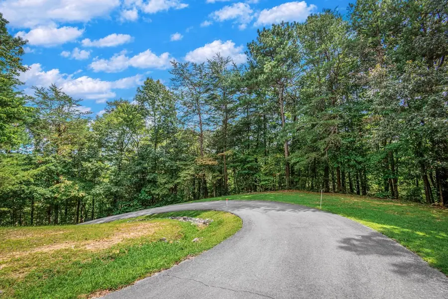 4.7AC Mountain Creek Hollow Drive, Talking Rock, GA 30175 - #3