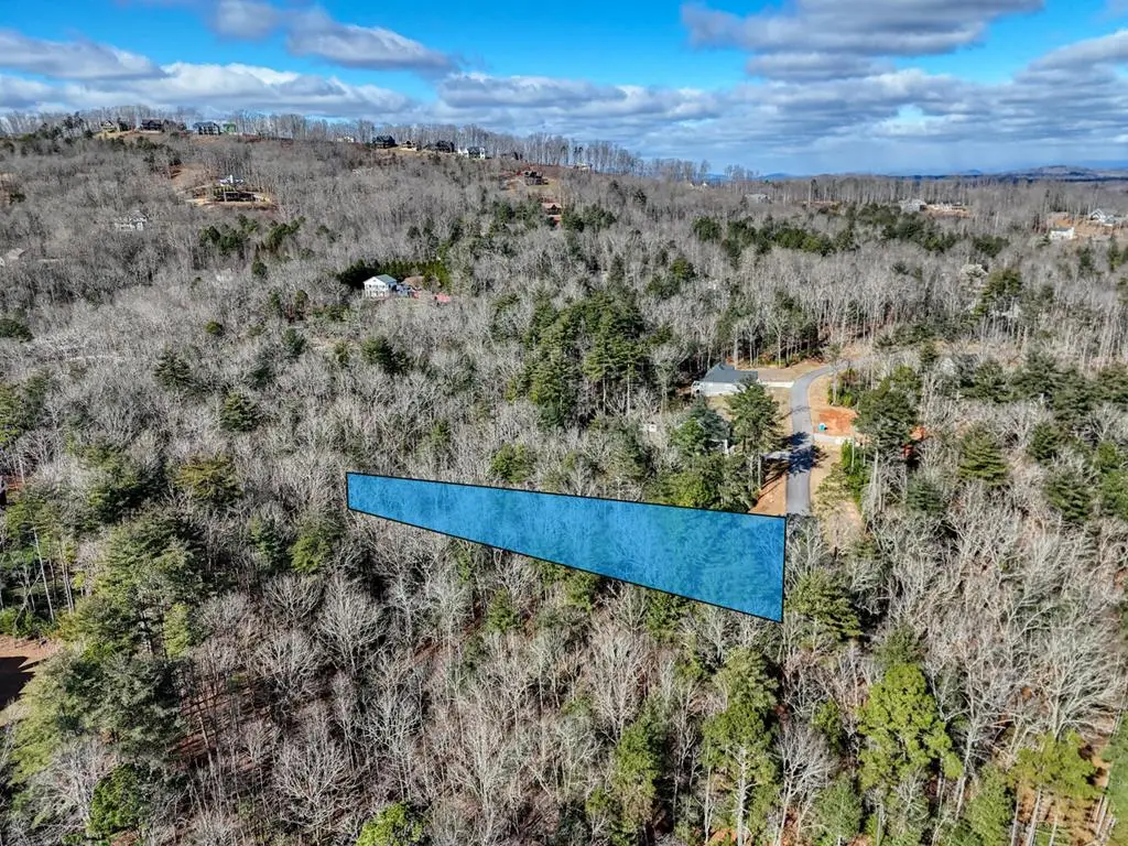 lot 157 Oakwood Way, Blairsville, GA 30512 - Image #1