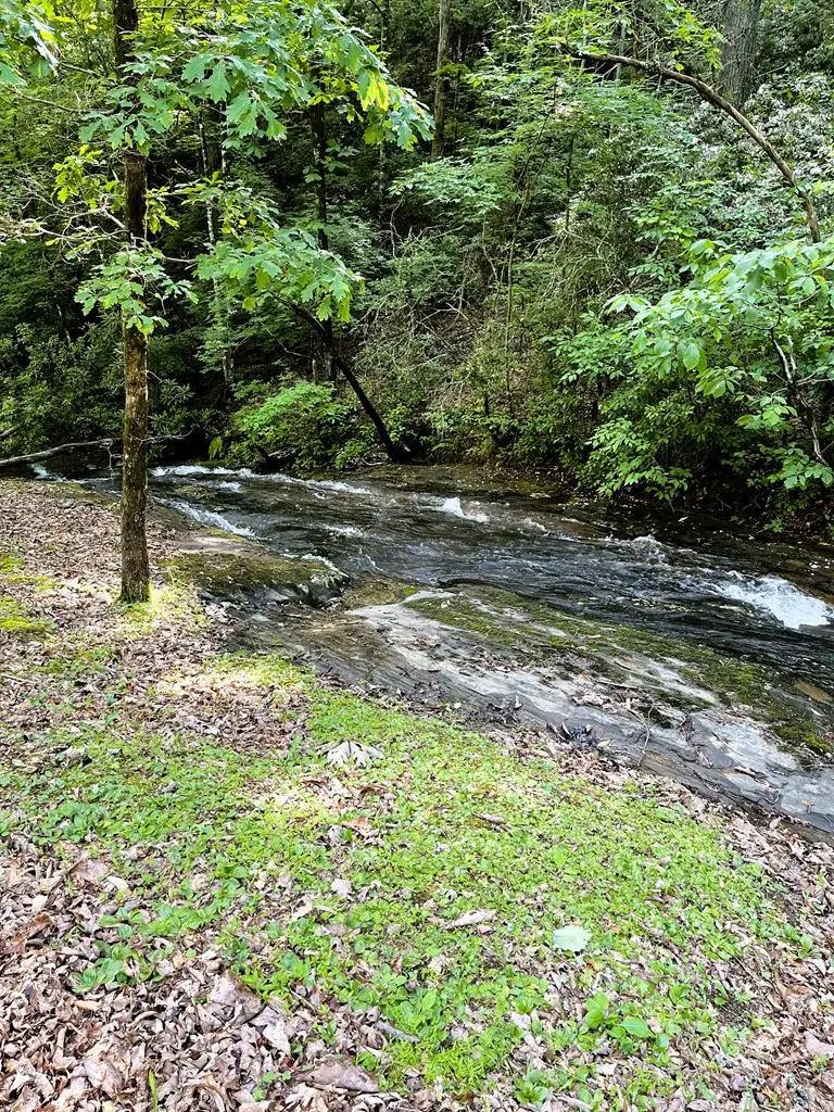 746 Mission Dam Road, Hayesville, NC 28904 - Image #2