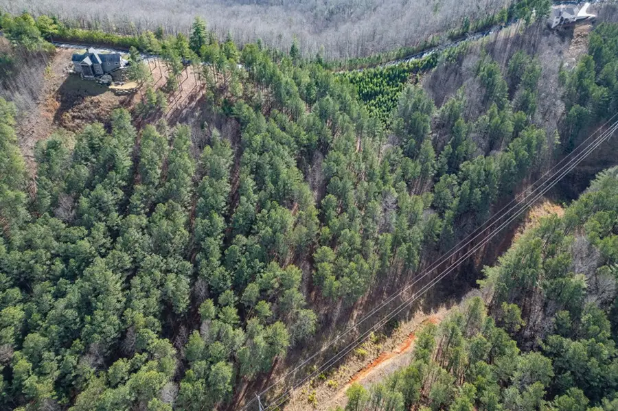 Lot 74 Thirteen Hundred, Blairsville, GA 30512 - Image #2