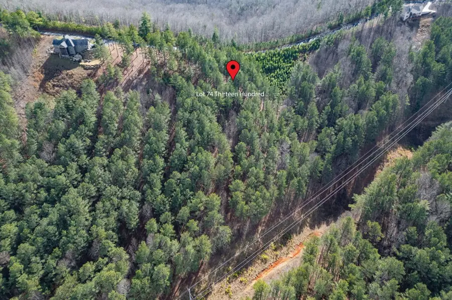 Lot 74 Thirteen Hundred, Blairsville, GA 30512 - Image #3
