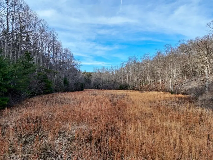 476 Rainbow Road, Suches, GA 30572 - Image #2