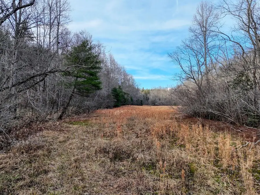 476 Rainbow Road, Suches, GA 30572 - Image #3