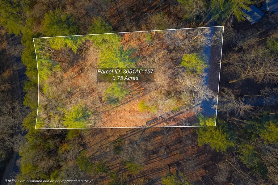 Lot 157 Roaring Forks Lane, Ellijay, GA 30540 - Image #3