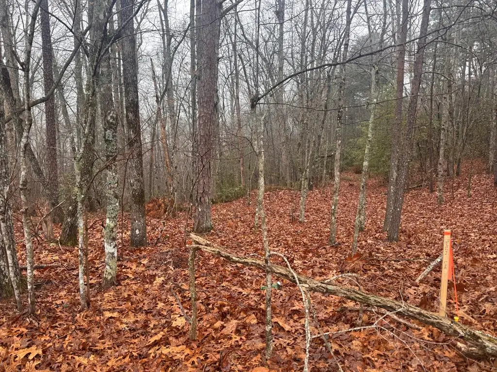 9.7Acres Winchester Creek, Young Harris, GA 30582 - Image #1