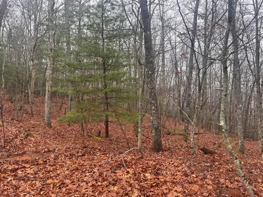 9.7Acres Winchester Creek, Young Harris, GA 30582 - Image #3
