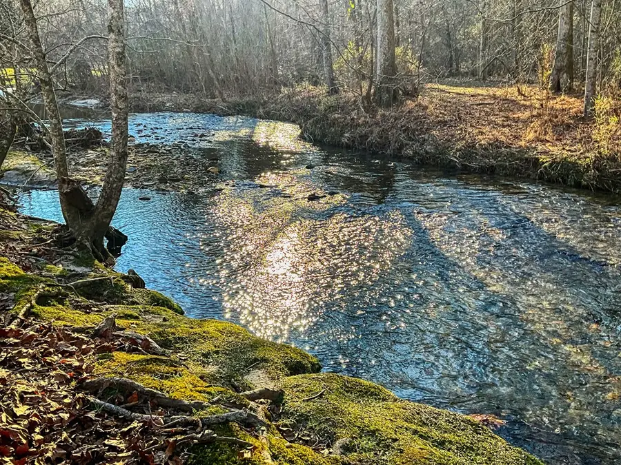 188 Clear Creek Valley Drive, Ellijay, GA 30536 - Image #2