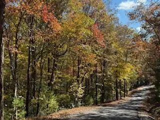 Lot 9 Peter Knob Road, Blue Ridge, GA 30513