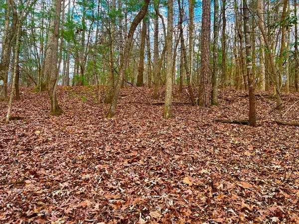 914 Villa Drive, Ellijay, GA 30540