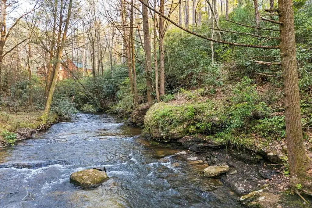 134 Hemlock Circle, Blue Ridge, GA 30513 - Image #1