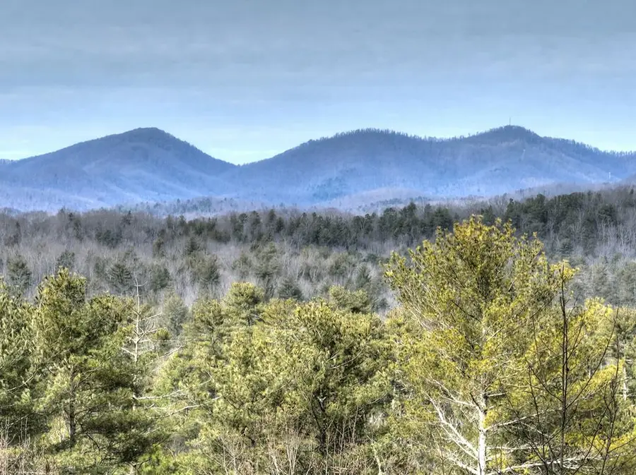 71 Rising Fawn Drive, Mineral Bluff, GA 30559 - Image #3