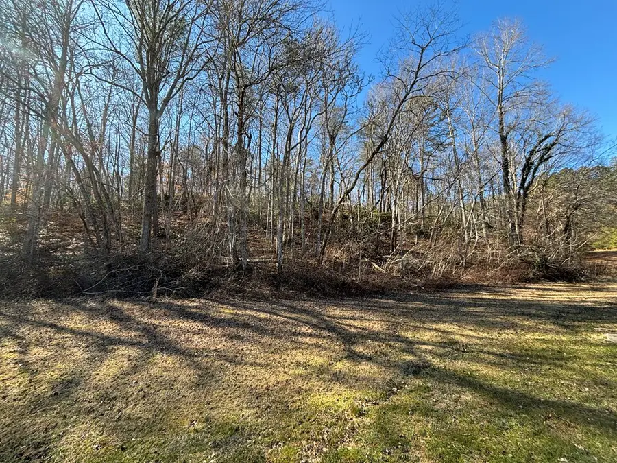 Lot 18 Brasstown Trails, Warne, NC 28909 - #2