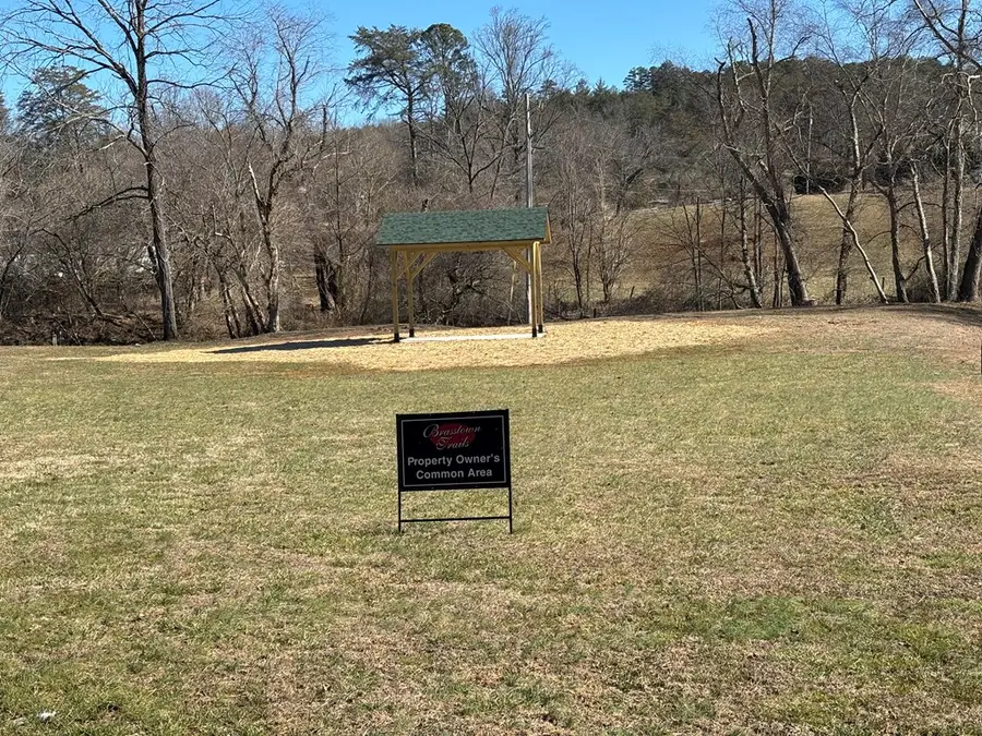 Lot 18 Brasstown Trails, Warne, NC 28909 - #3