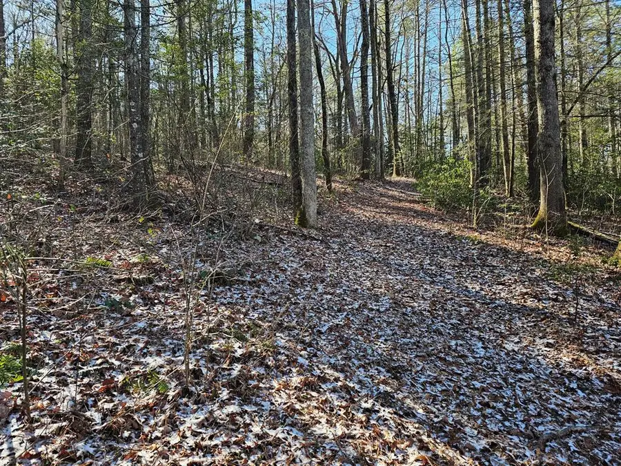 0 Beaver Dam Road, Murphy, NC 28906 - Image #2