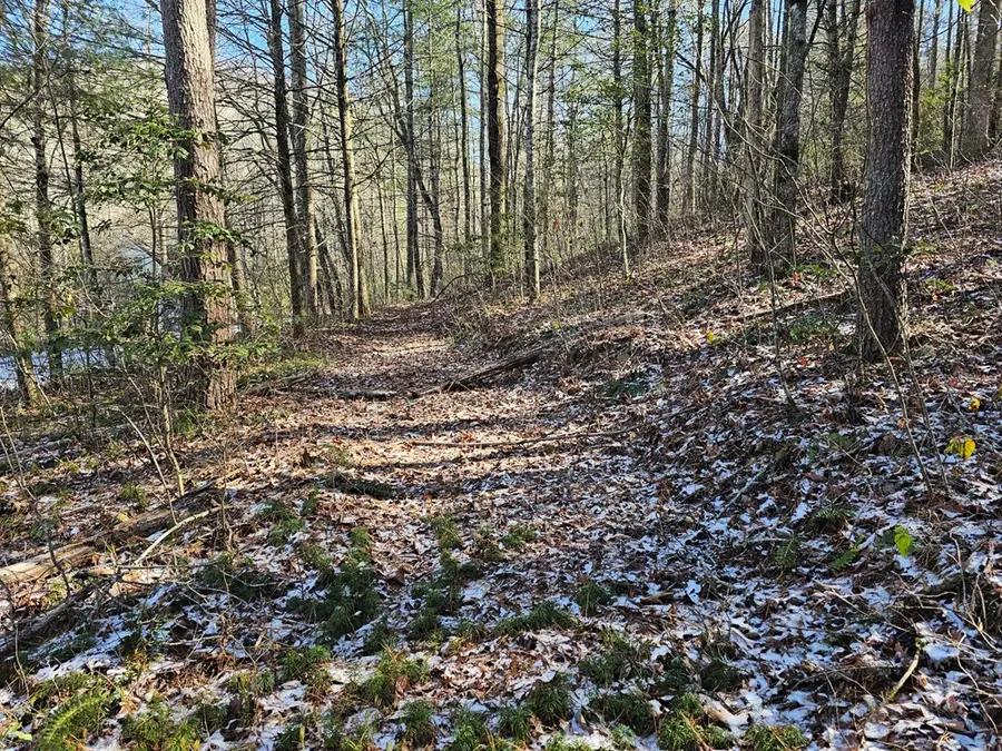 0 Beaver Dam Road, Murphy, NC 28906 - Image #3