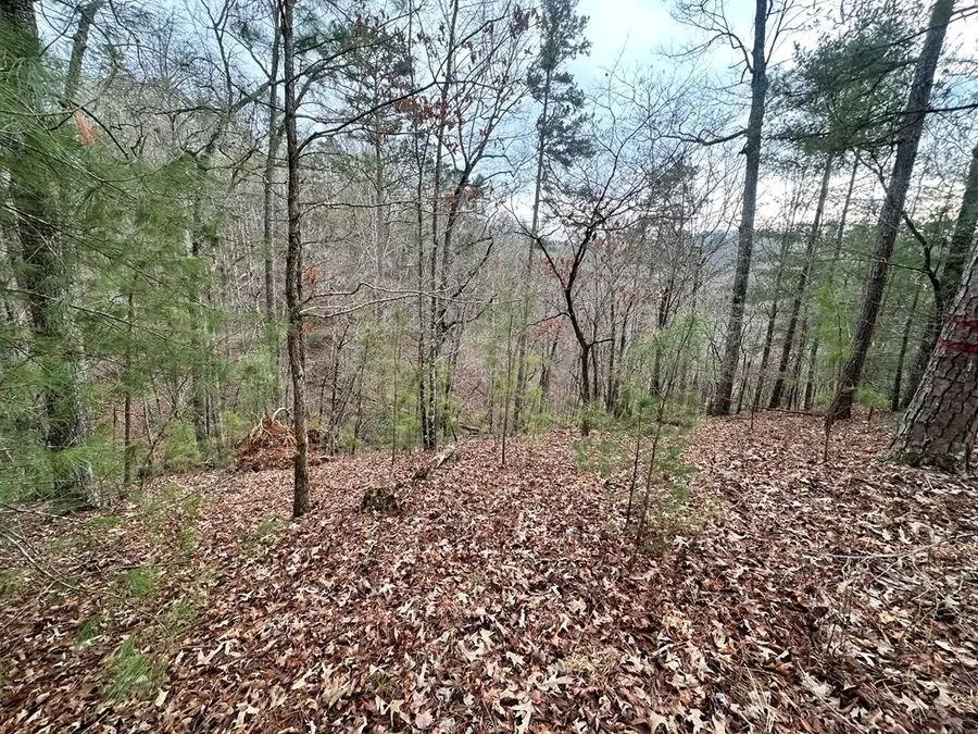 3693 Myna Drive, Ellijay, GA 30540 - Image #3