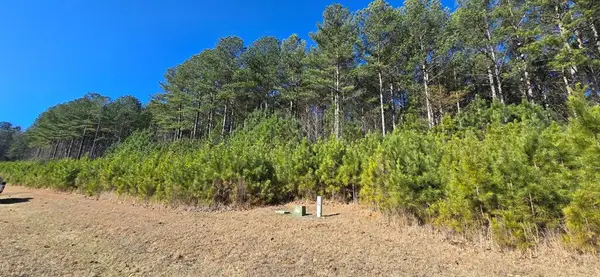Lot 41 Deyton Drive, Blairsville, GA 30512