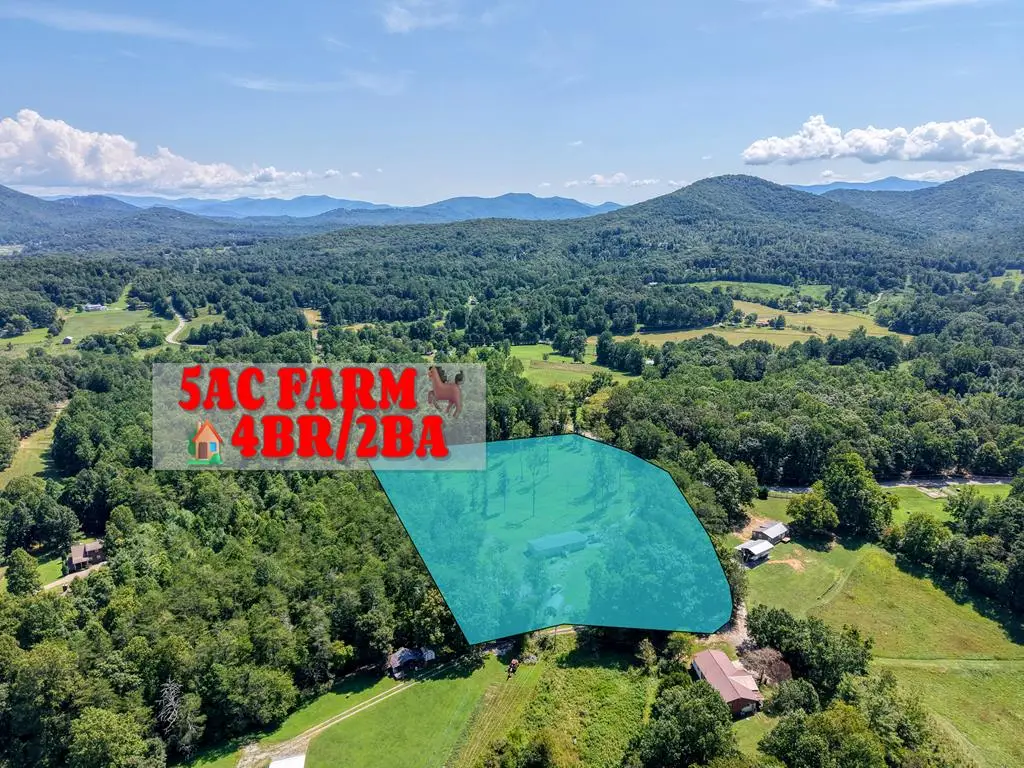 9656 Phillips Road, Young Harris, GA 30582 - #1