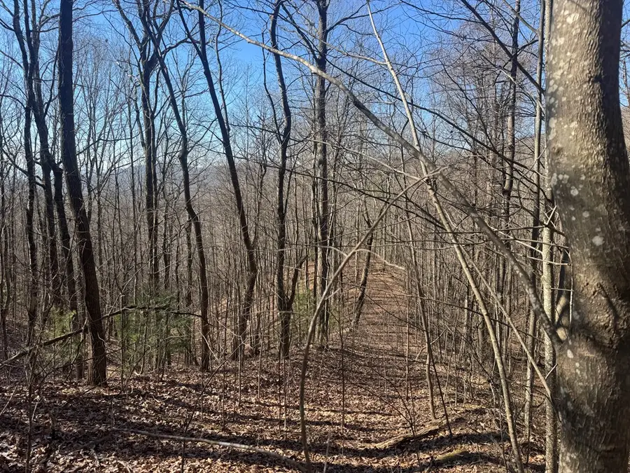 17 Oak Ridge Estates, Murphy, NC 28906 - Image #2