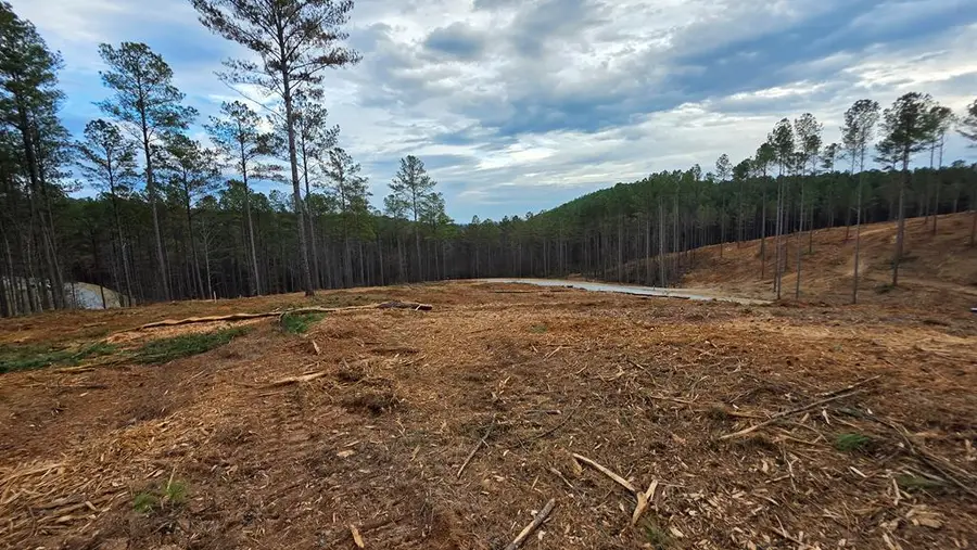 101 Springfield Parkway, Ellijay, GA 30540 - Image #3