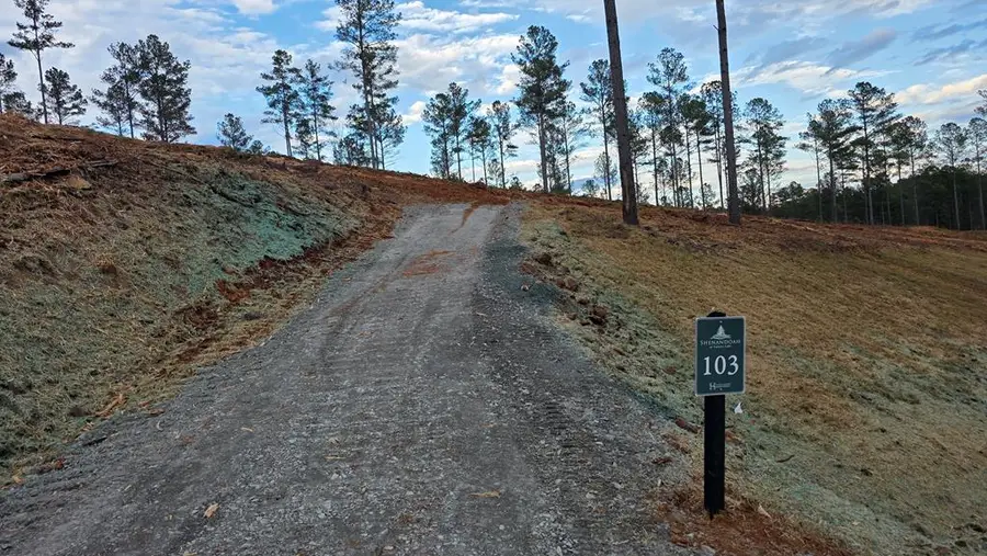 103 Springfield Parkway, Ellijay, GA 30540 - Image #2