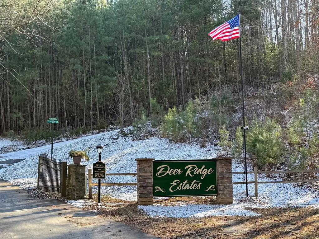 00 Confederate, Murphy, NC 28906 - Image #1