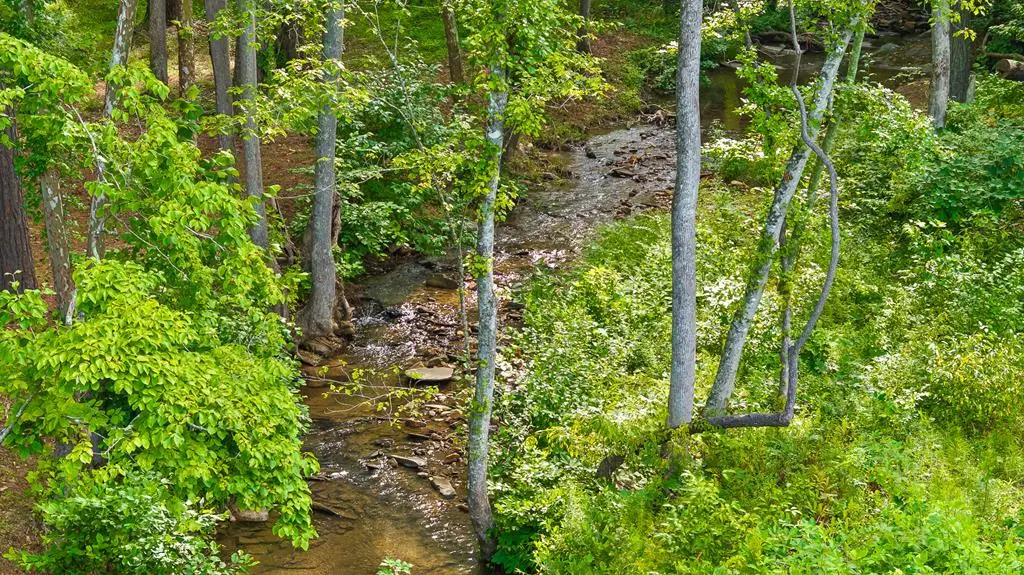 Lot 432 Twisted Oak Road, Talking Rock, GA 30175 - Image #1